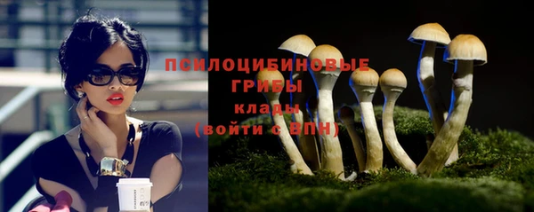 крисы Арсеньев
