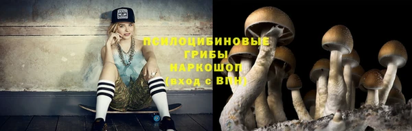 мет Аркадак