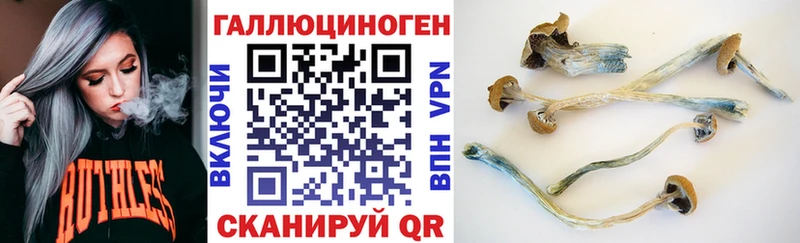 Псилоцибиновые грибы мицелий  Аша 